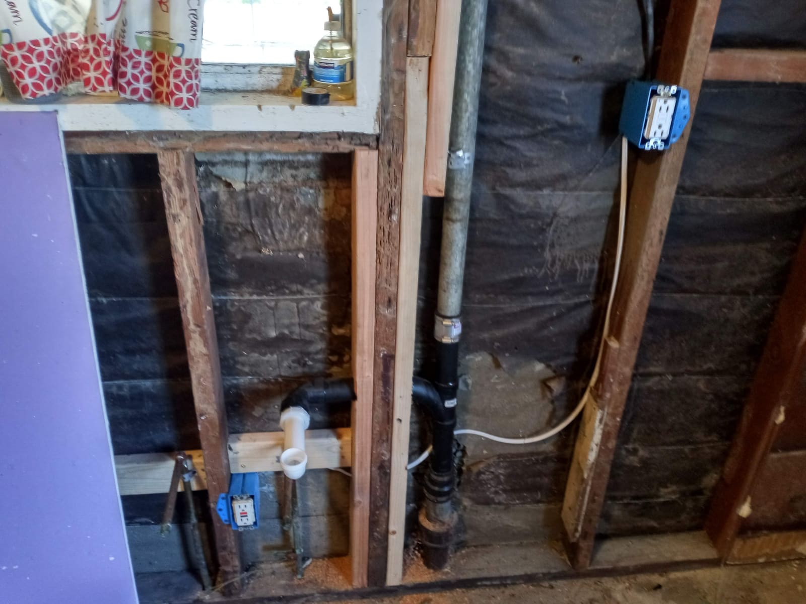 Dry Rot project photo