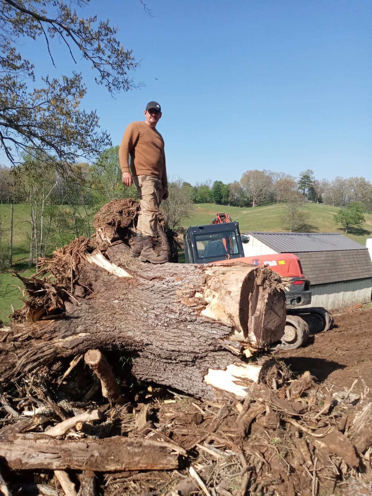 Landscaping project photo