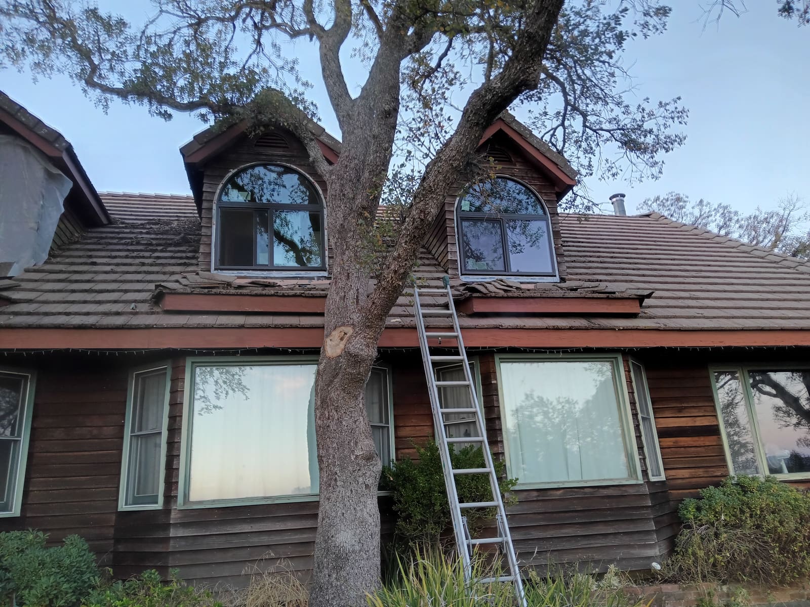 Siding & Windows project photo